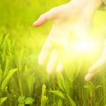 Mon Aug 27, 2012 – ENERGIZE YOUR HEALTH with Life Divine Teachers