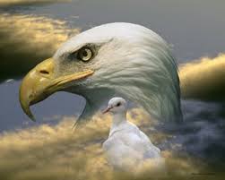Eagle Dove